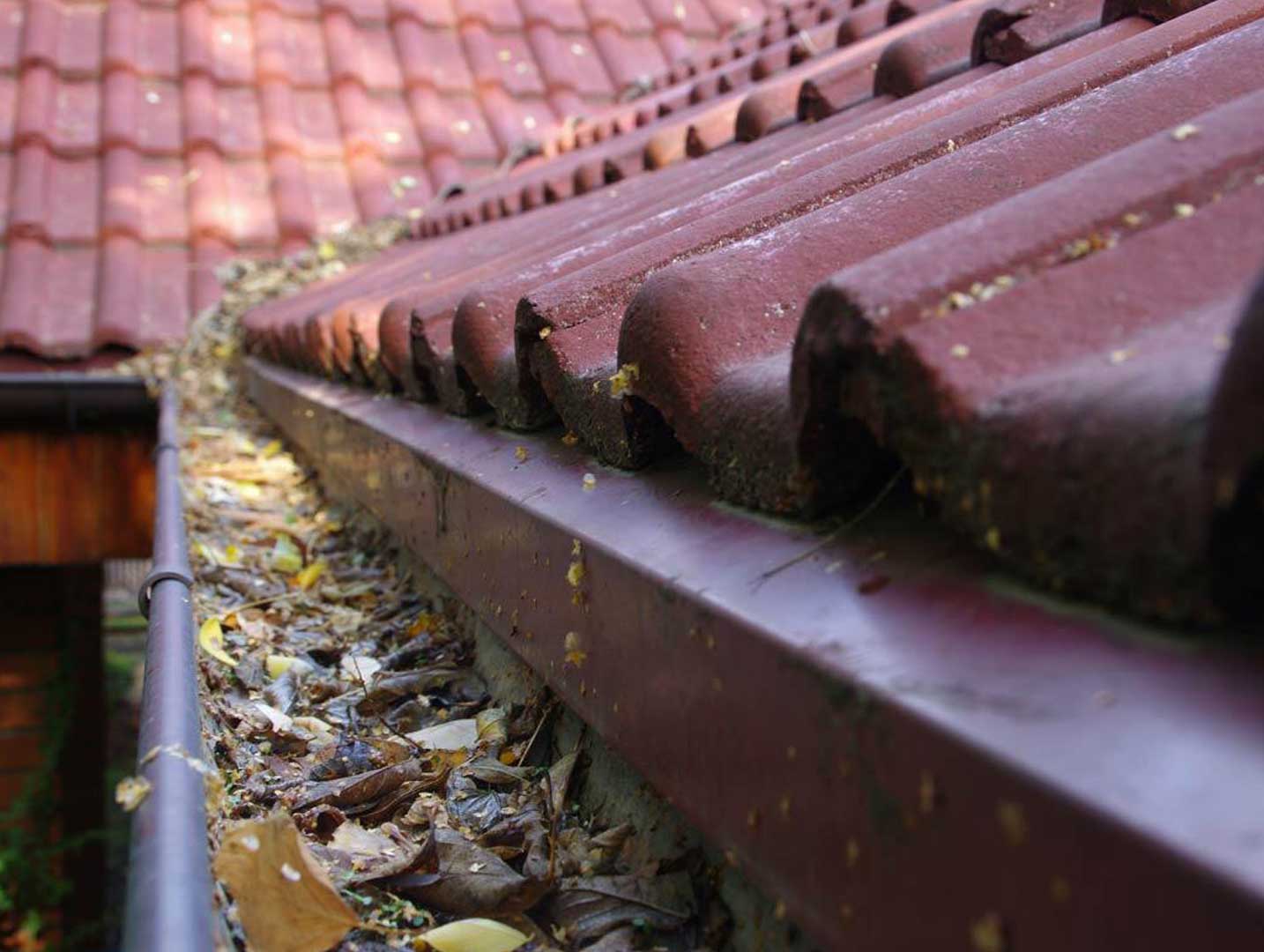 Gutter Cleaning